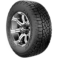 Neumáticos para Camioneta y SUV
